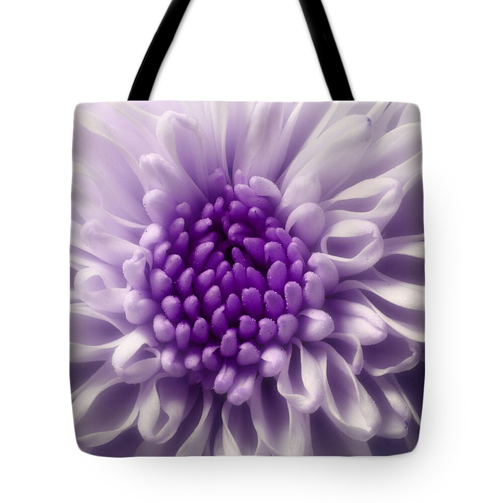 Purple Flowers Tote Bag featuring the photograph Dreaming In Color by Michael Eingle