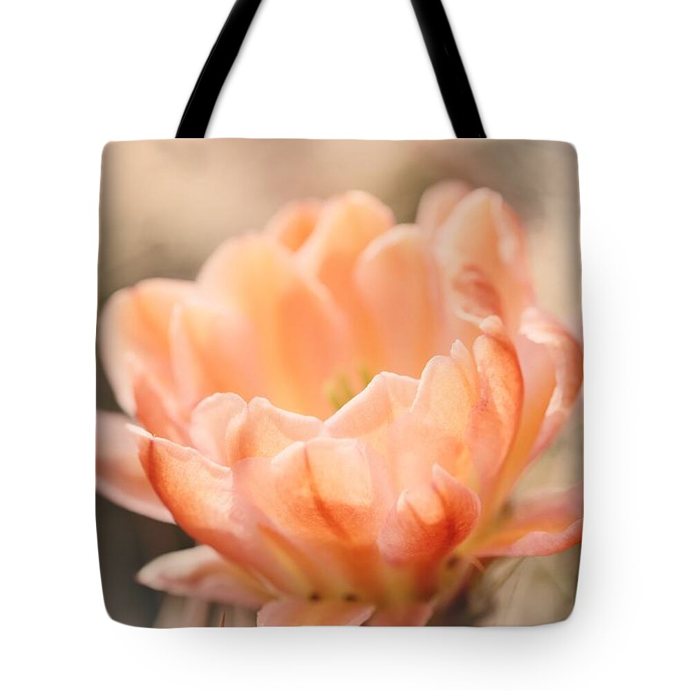 Cactus Tote Bag featuring the photograph Dreaming... Just Dreaming by Lucinda Walter