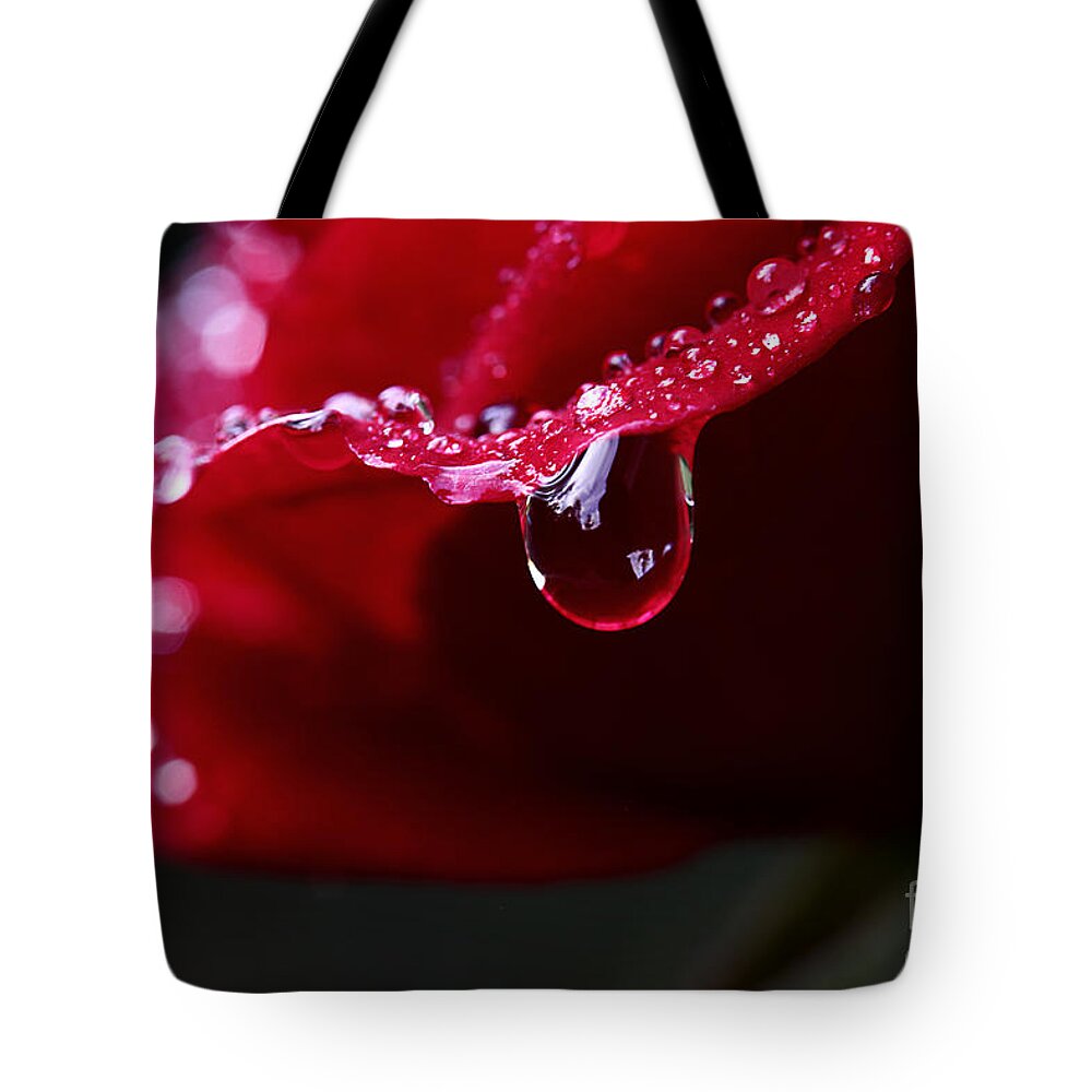 Rose Flower Tote Bag featuring the photograph Dreams On The Edge by Michael Eingle