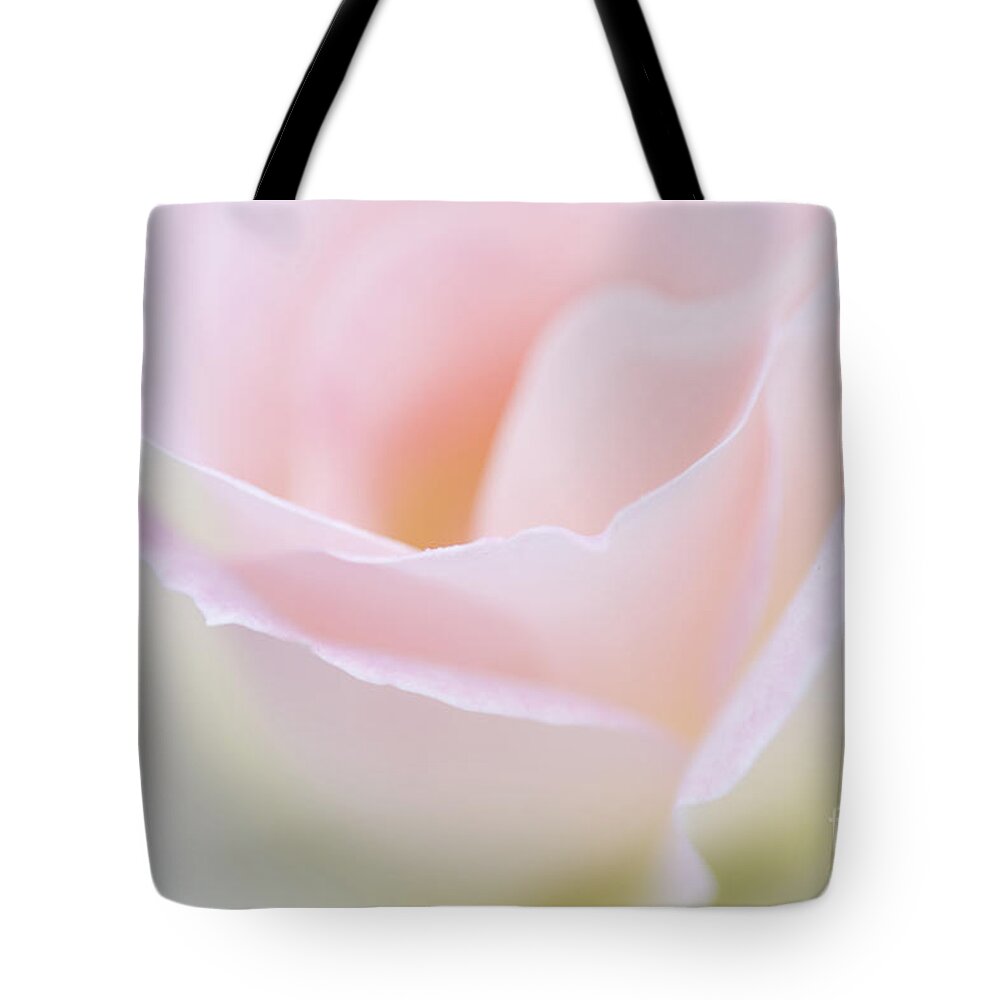 Rose Tote Bag featuring the photograph Dreamy Rose by Patty Colabuono