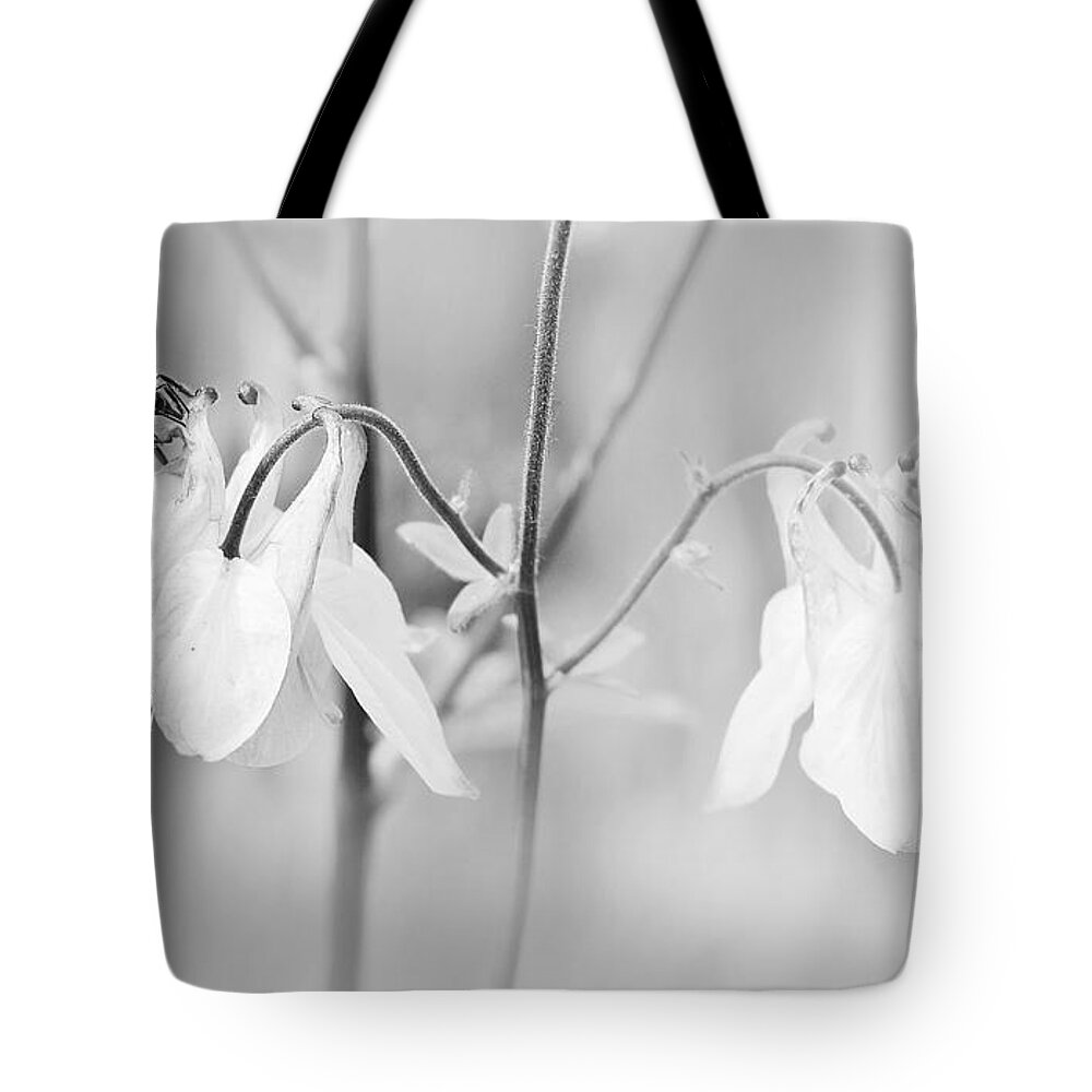 Photo Tote Bag featuring the photograph Dreamy Spring by Jutta Maria Pusl