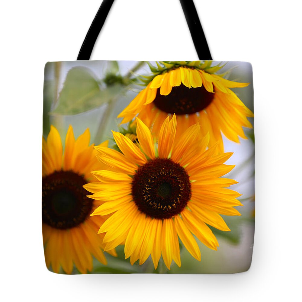 Sunflower Tote Bag featuring the photograph Dreamy Sunflower Day by Carol Groenen