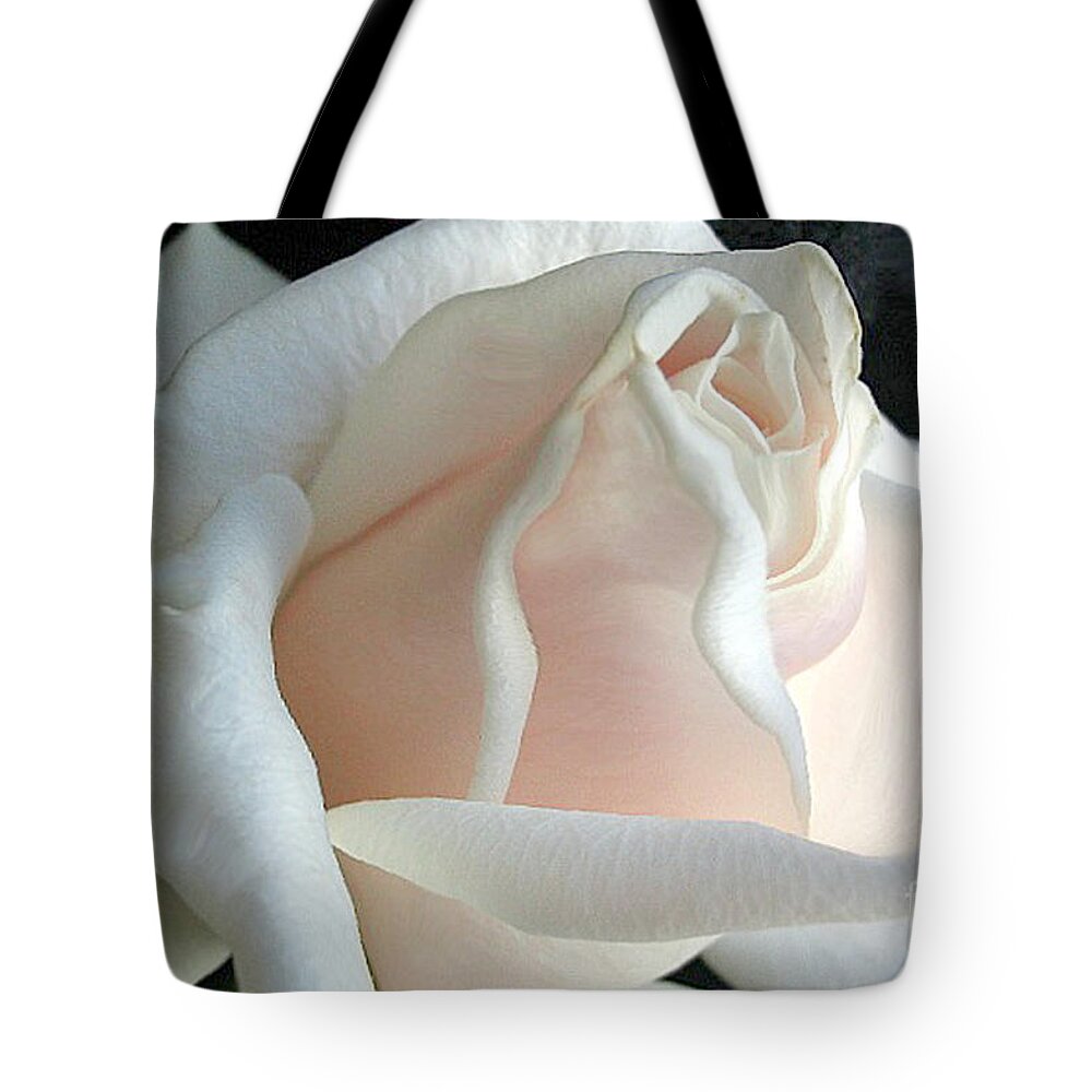 Rose Tote Bag featuring the photograph Dreamy White Rose by Vivian Martin