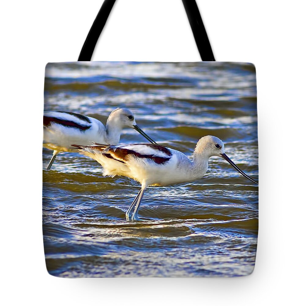 Water Tote Bag featuring the photograph Dribbling Contest by Gary Holmes