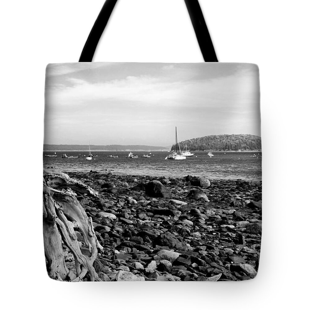 Driftwood On Rocky Beach Tote Bag featuring the photograph Driftwood and Harbor by Jemmy Archer