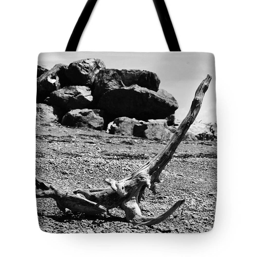 Driftwood Tote Bag featuring the photograph Driftwood by Randi Grace Nilsberg