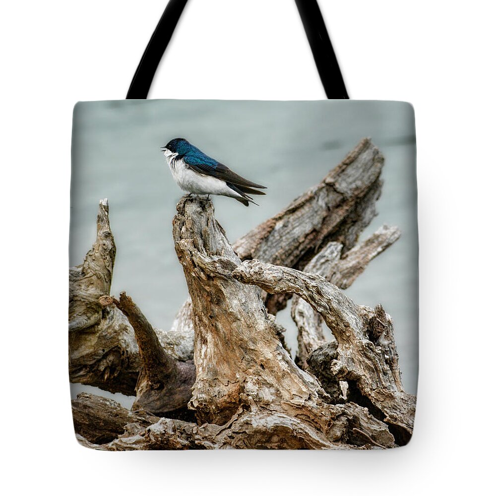 Bird Tote Bag featuring the photograph Driftwood Song by Jai Johnson