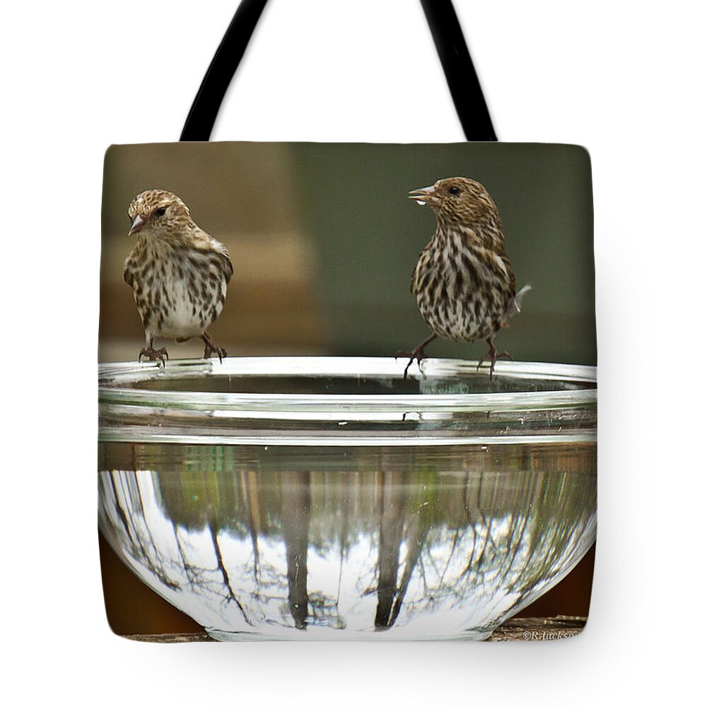 Finch Tote Bag featuring the photograph Drink Up by Robert L Jackson