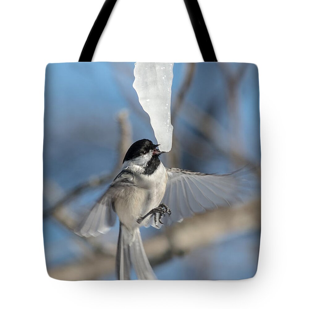 Blue Sky Tote Bag featuring the photograph Drinking in Flight by Cheryl Baxter