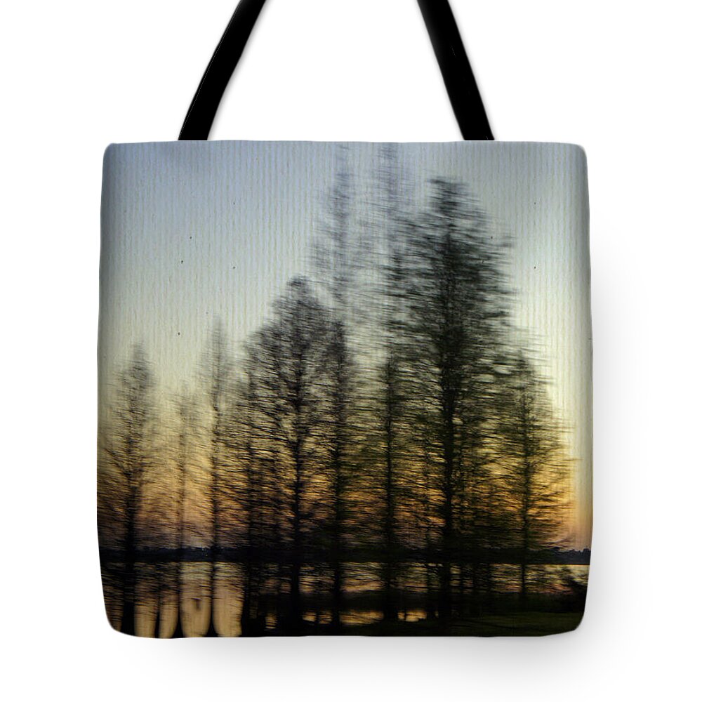 Lake Parker Tote Bag featuring the photograph Driving By by Laurie Perry