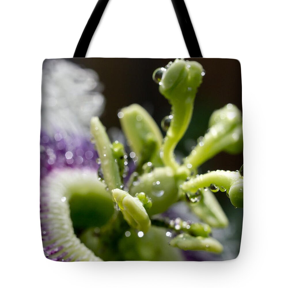 Floral Tote Bag featuring the photograph Drop Of Passion by Priya Ghose