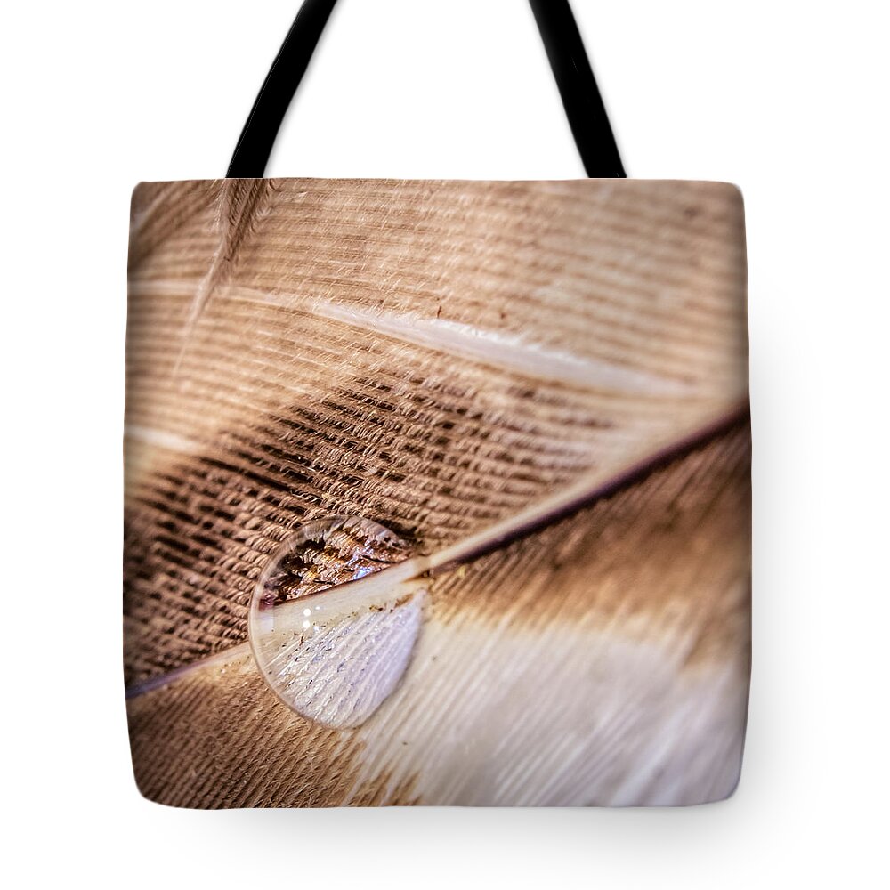 Light Tote Bag featuring the photograph Droplet On A Quill by Traveler's Pics