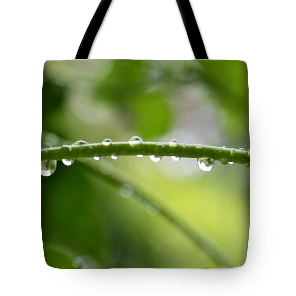 Stem Tote Bag featuring the photograph Drops In Line by Christiane Schulze Art And Photography