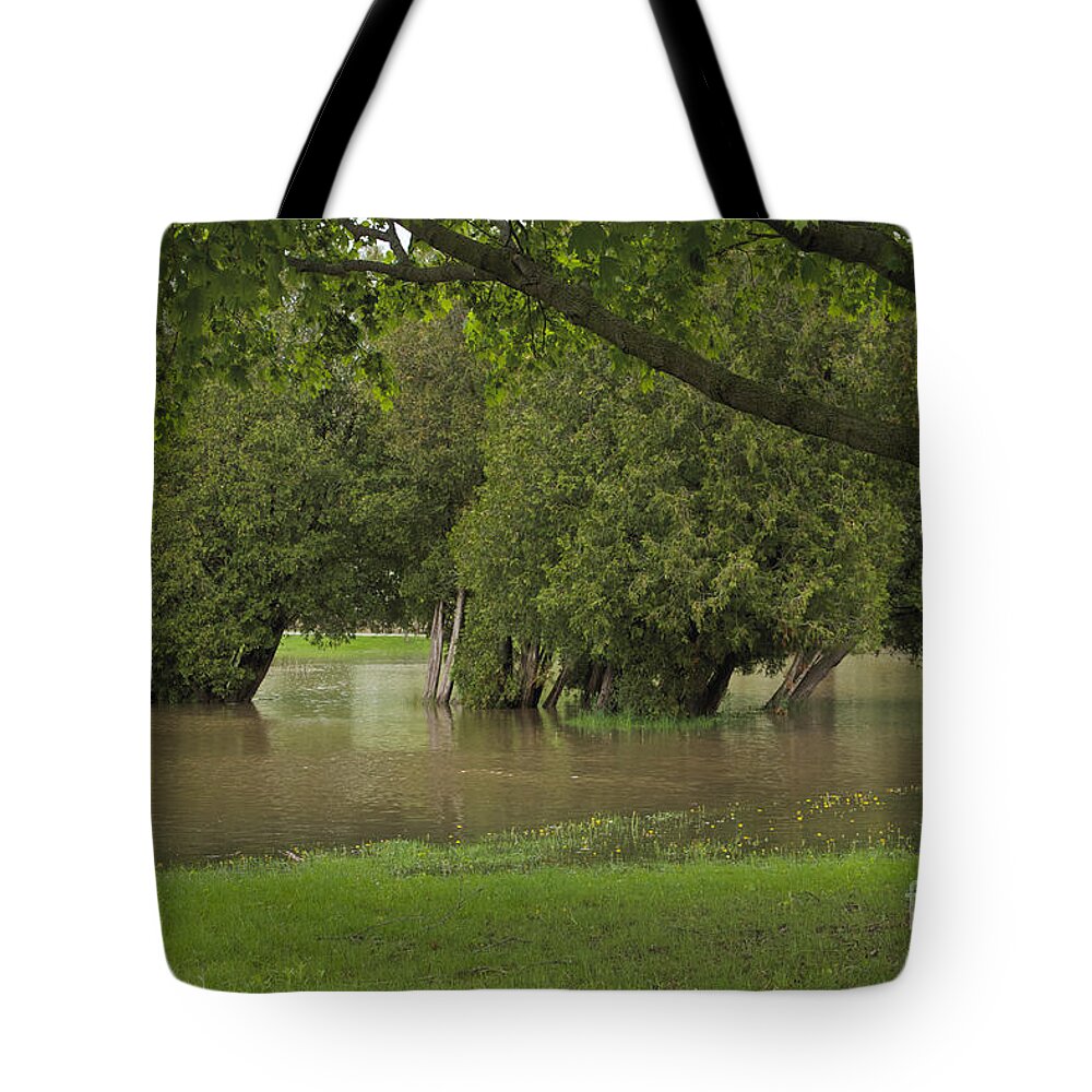 Ellison Park Tote Bag featuring the photograph Drowning Trees by William Norton