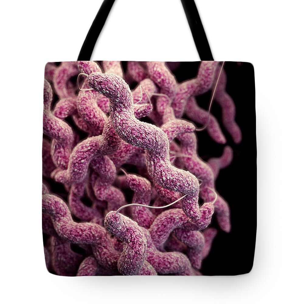 Drug Resistant Tote Bag featuring the photograph Drug-resistant Campylobacter by Science Source