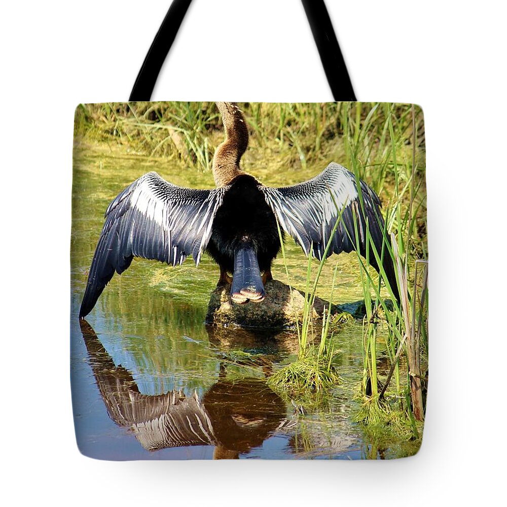 Anhinga Tote Bag featuring the photograph Drying Her Wings by Cynthia Guinn