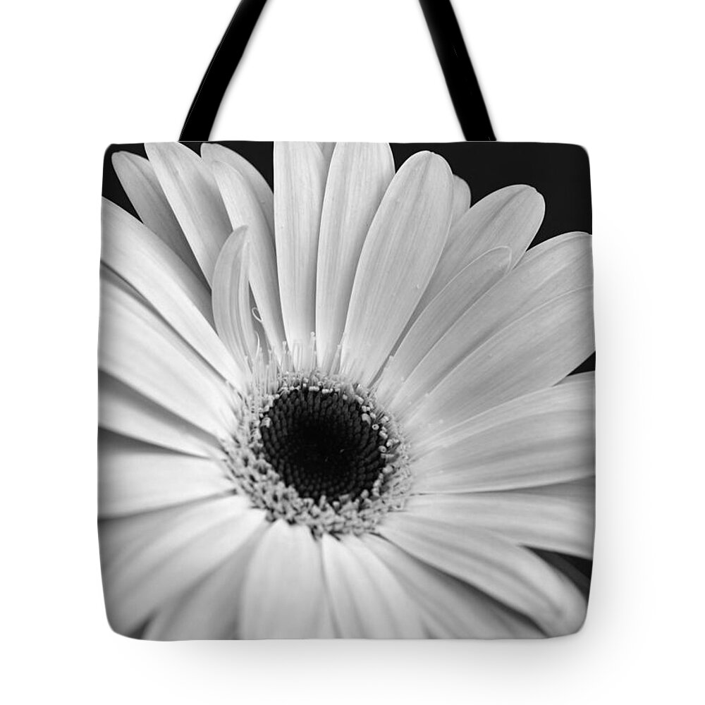 Gerber Tote Bag featuring the photograph Dsc0056d1-001 by Kimberlie Gerner Wells