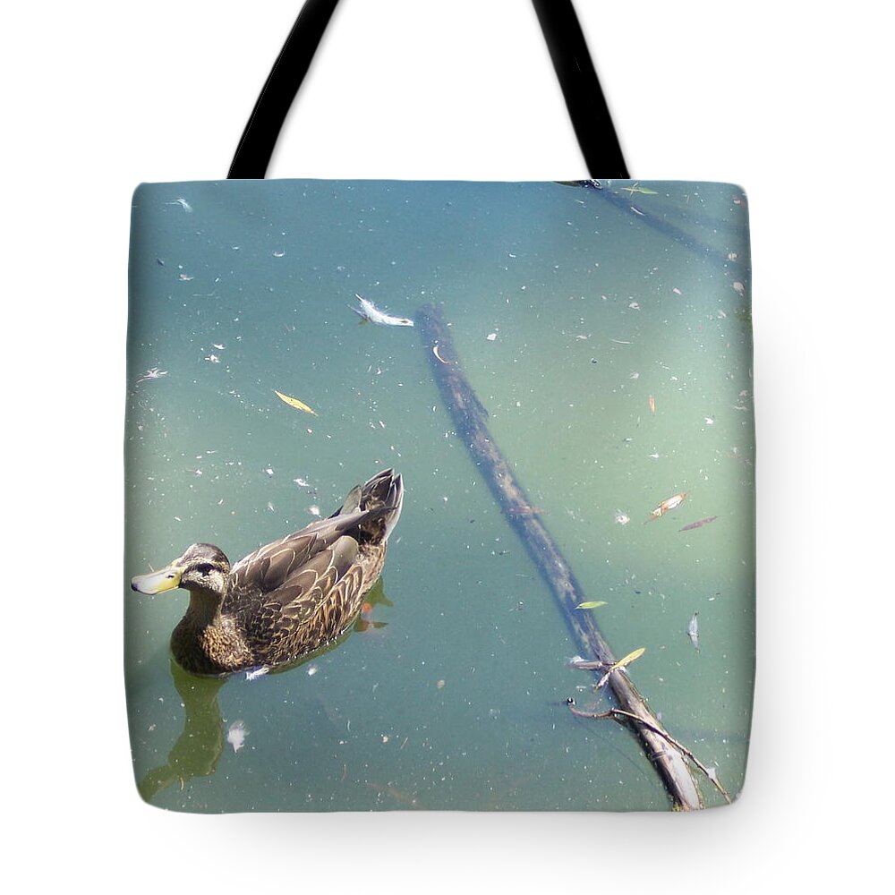 Duck Tote Bag featuring the photograph Duck in Pond by Michelle Miron-Rebbe