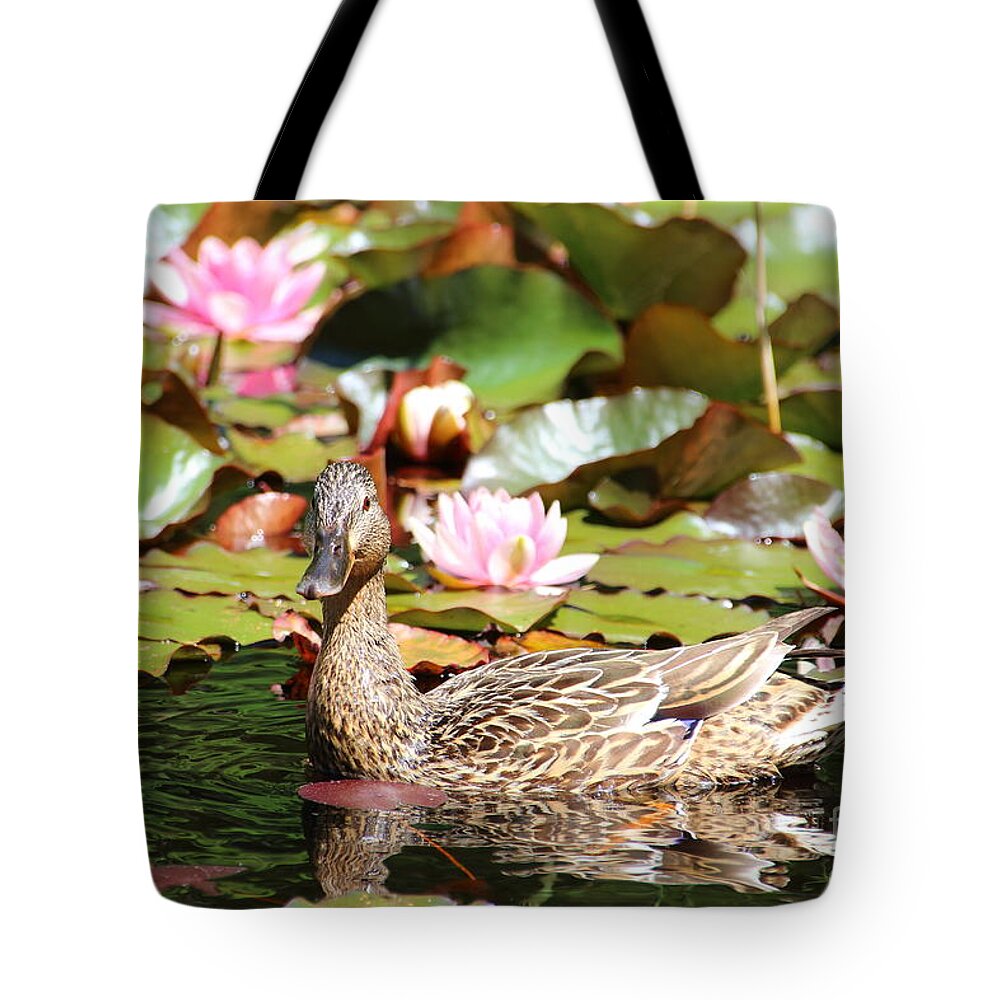 Lilies Tote Bag featuring the photograph Duck in the Water Lilies by Amanda Mohler