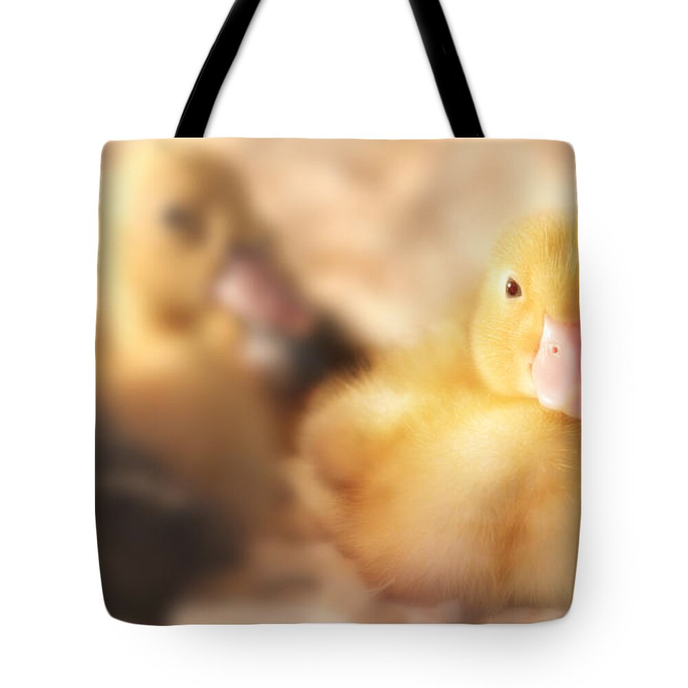 Duck Tote Bag featuring the photograph Duckling by Shelley Neff