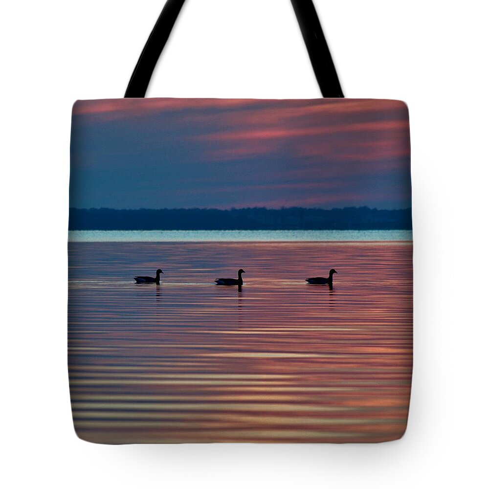 Beach Bum Pics Tote Bag featuring the photograph Ducks in a Row by Billy Beck