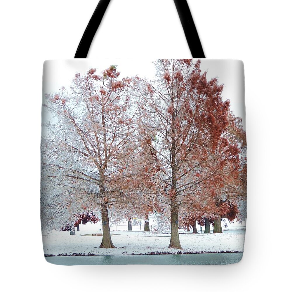 Ducks Tote Bag featuring the photograph Ducks on a Winter Pond by Robert ONeil