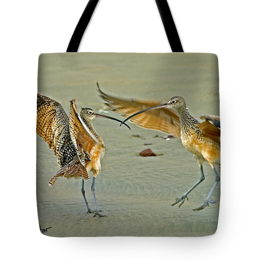 Long-billed Curlew Tote Bag featuring the photograph Dueling Curlews by David Salter
