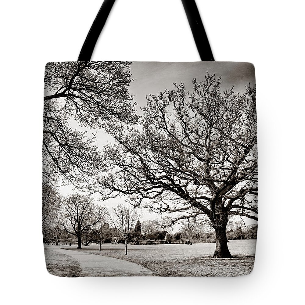 Dulwich Park Tote Bag featuring the photograph Dulwich Park by Lenny Carter