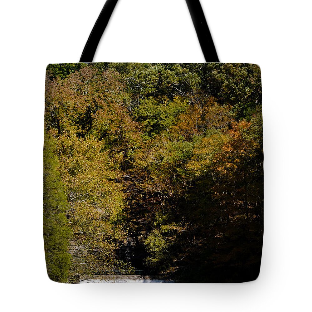 Cave Tote Bag featuring the photograph Dunbar Cave and Swan Lake by Ed Gleichman
