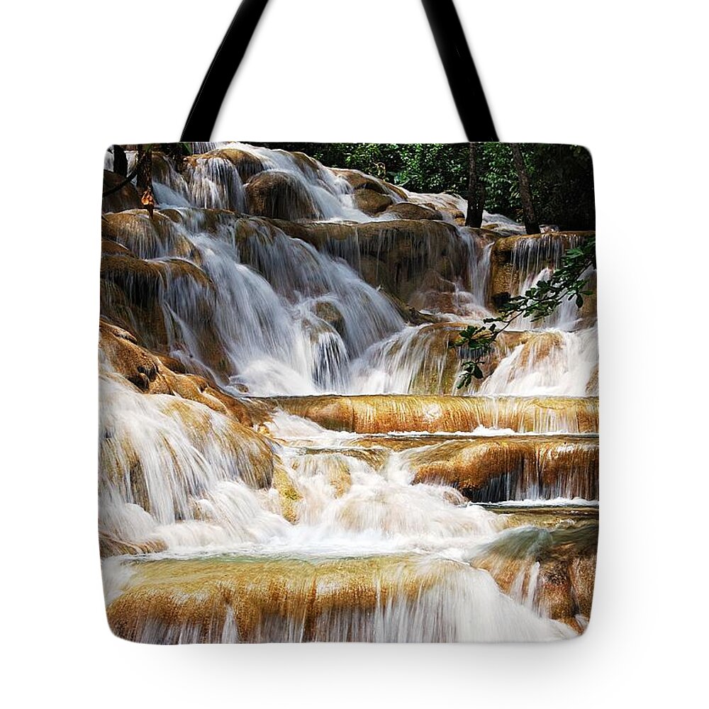 Waterfall Tote Bag featuring the photograph Dunn Falls by Hannes Cmarits