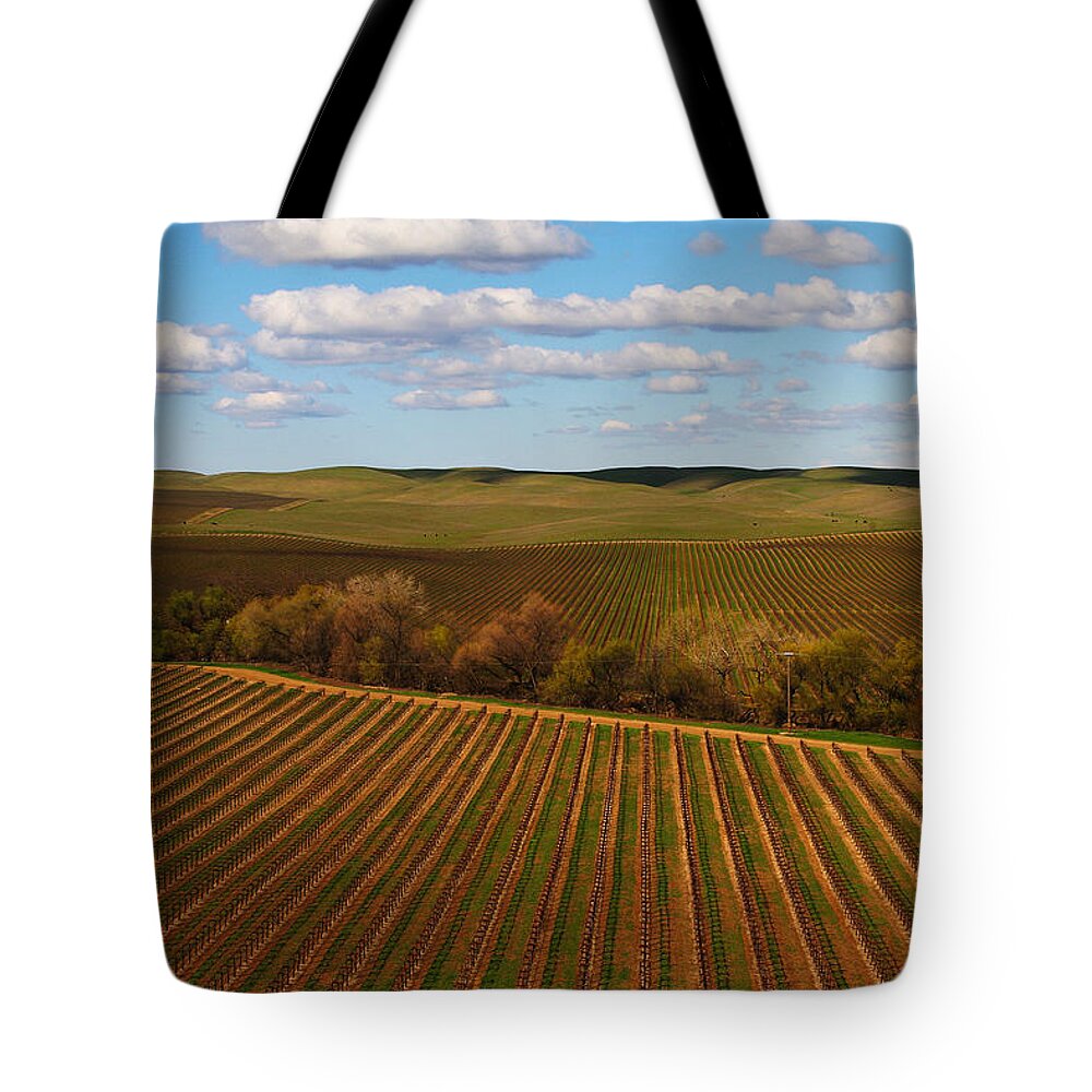 Vineyard Tote Bag featuring the photograph Dunnigan Hills Vineyard by Robert Woodward