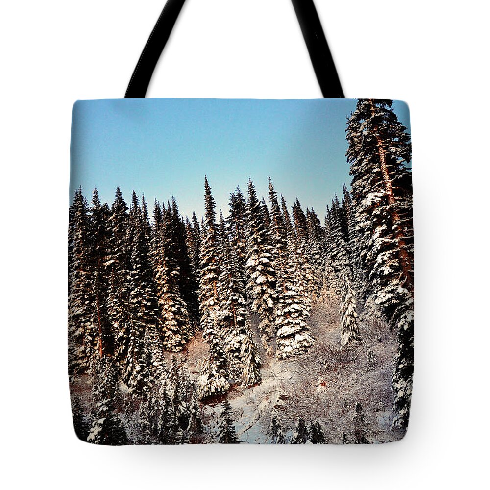 Alpine Tote Bag featuring the photograph Dusting by Frank Larkin