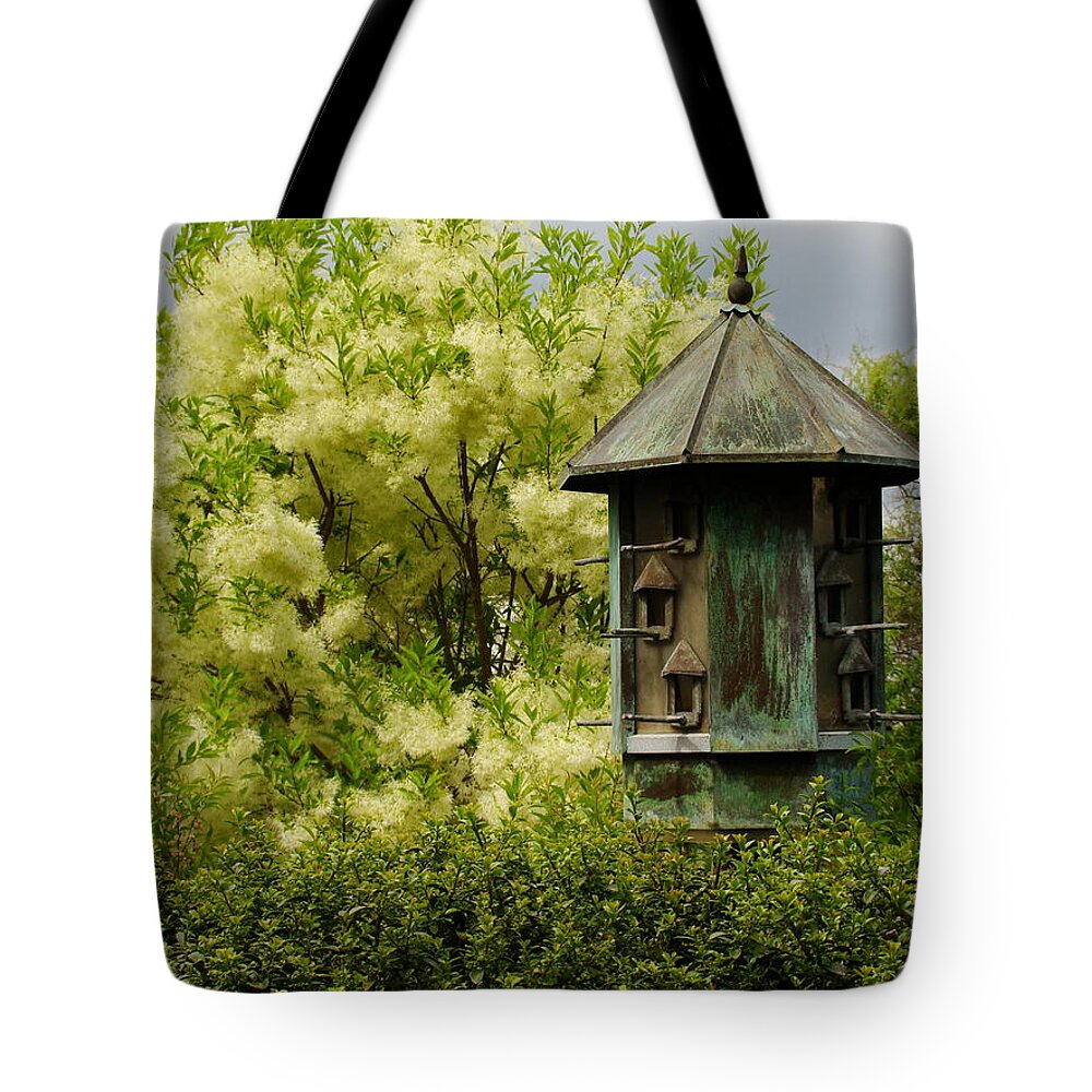 Fine Art Tote Bag featuring the photograph Dwelling by Rodney Lee Williams