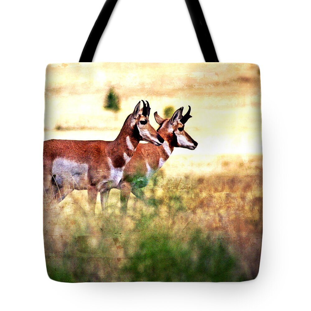 Antelope Tote Bag featuring the photograph Dynamic Duo by Marty Koch