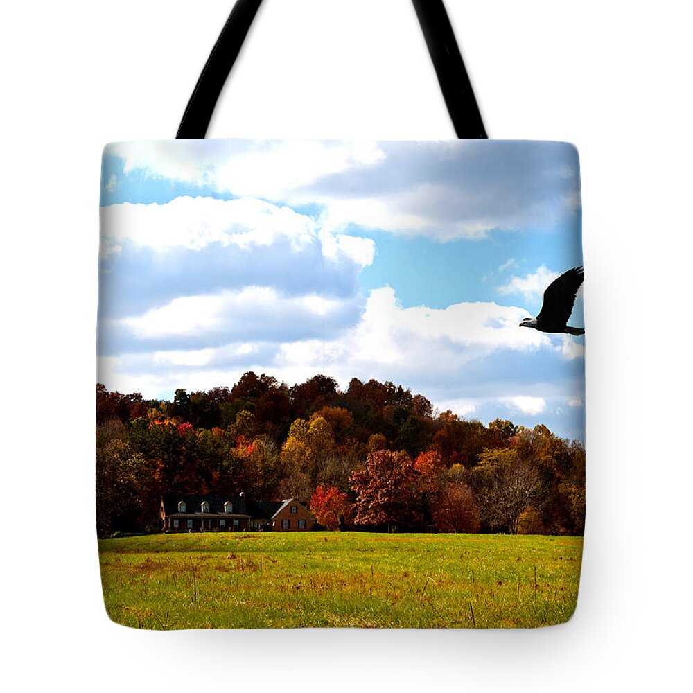  Tote Bag featuring the photograph Eagle Overhead by Randall Branham