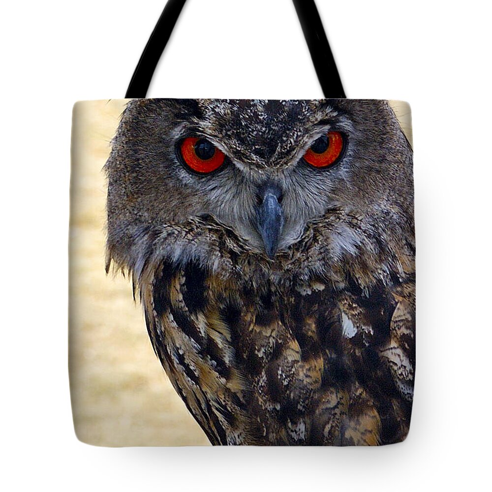 Owl Tote Bag featuring the photograph Eagle Owl by Anthony Sacco