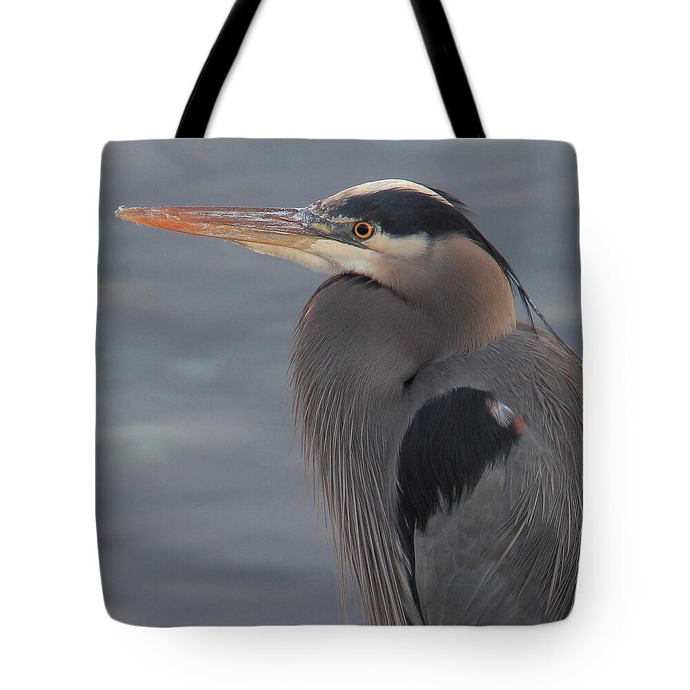 Bird Tote Bag featuring the photograph Early Bird 2 by Randy Hall