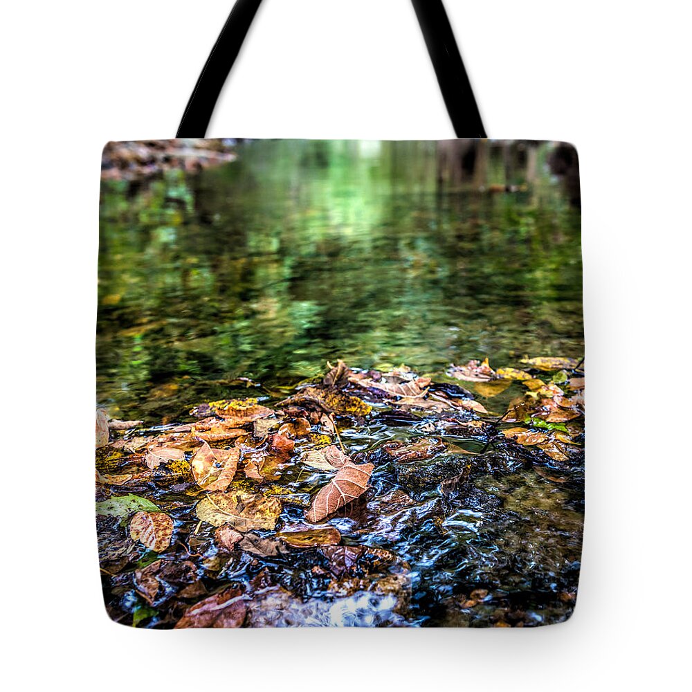 Fayetteville Tote Bag featuring the photograph Early Fall number two by Anthony Hughes