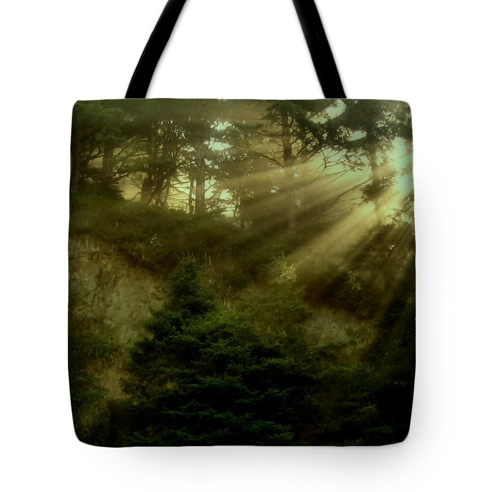 Sunrise Tote Bag featuring the photograph Early Morning by KATIE Vigil