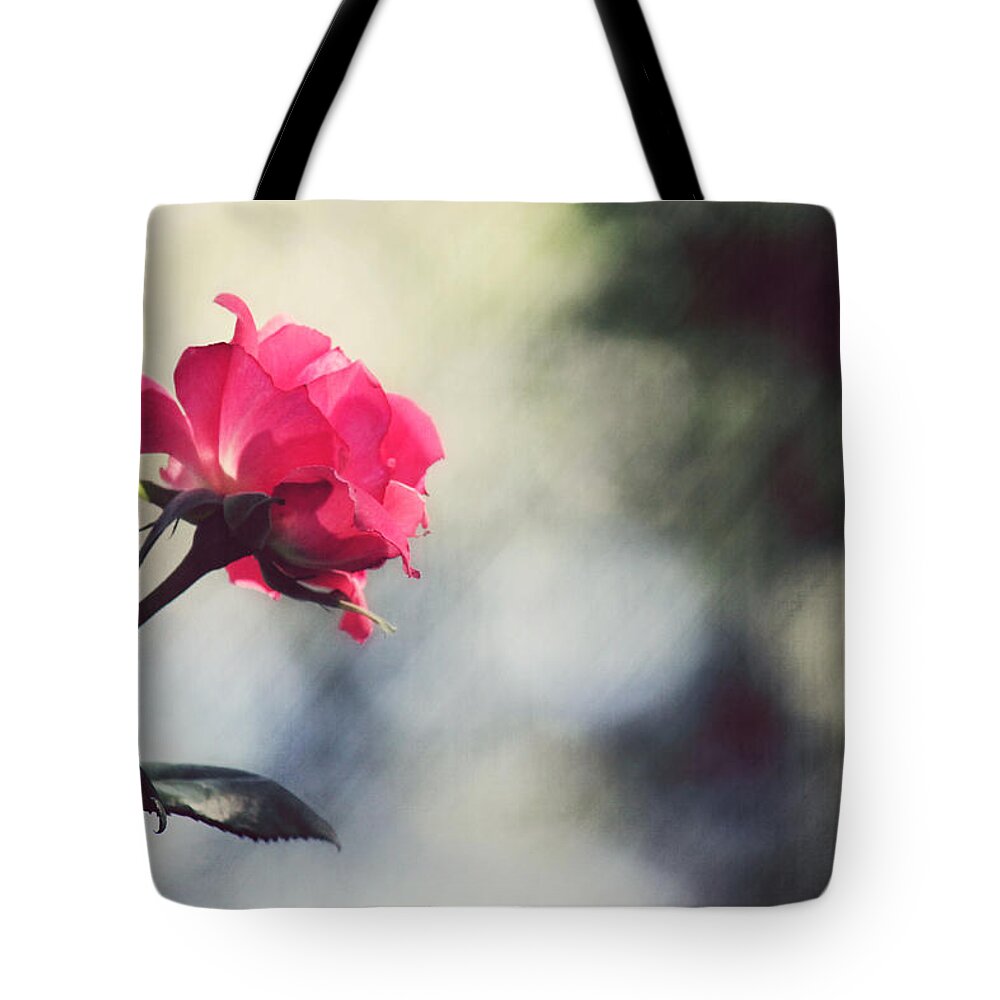 Rose Tote Bag featuring the photograph Early Morning by Melanie Lankford Photography