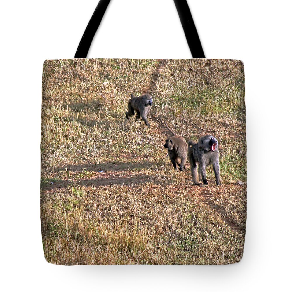 Baboon Family In Early Morning Seen From A Balloon Flying Over The Serengeti Tote Bag featuring the photograph Early morning stroll by Tony Murtagh