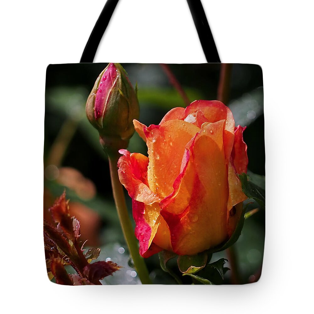 Rosebuds Tote Bag featuring the photograph Early Roses by Rona Black