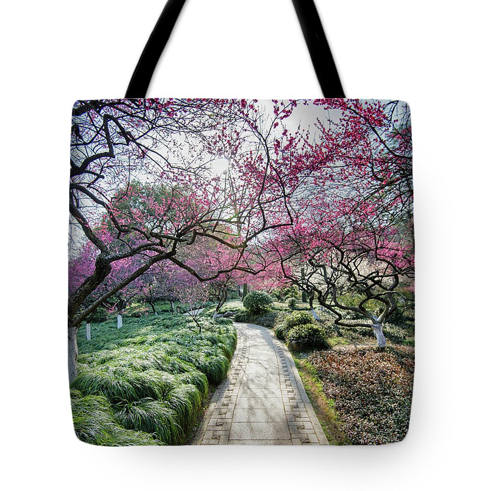 Tranquility Tote Bag featuring the photograph Early Spring Plum Blossoms In Hangzhou by Andy Brandl