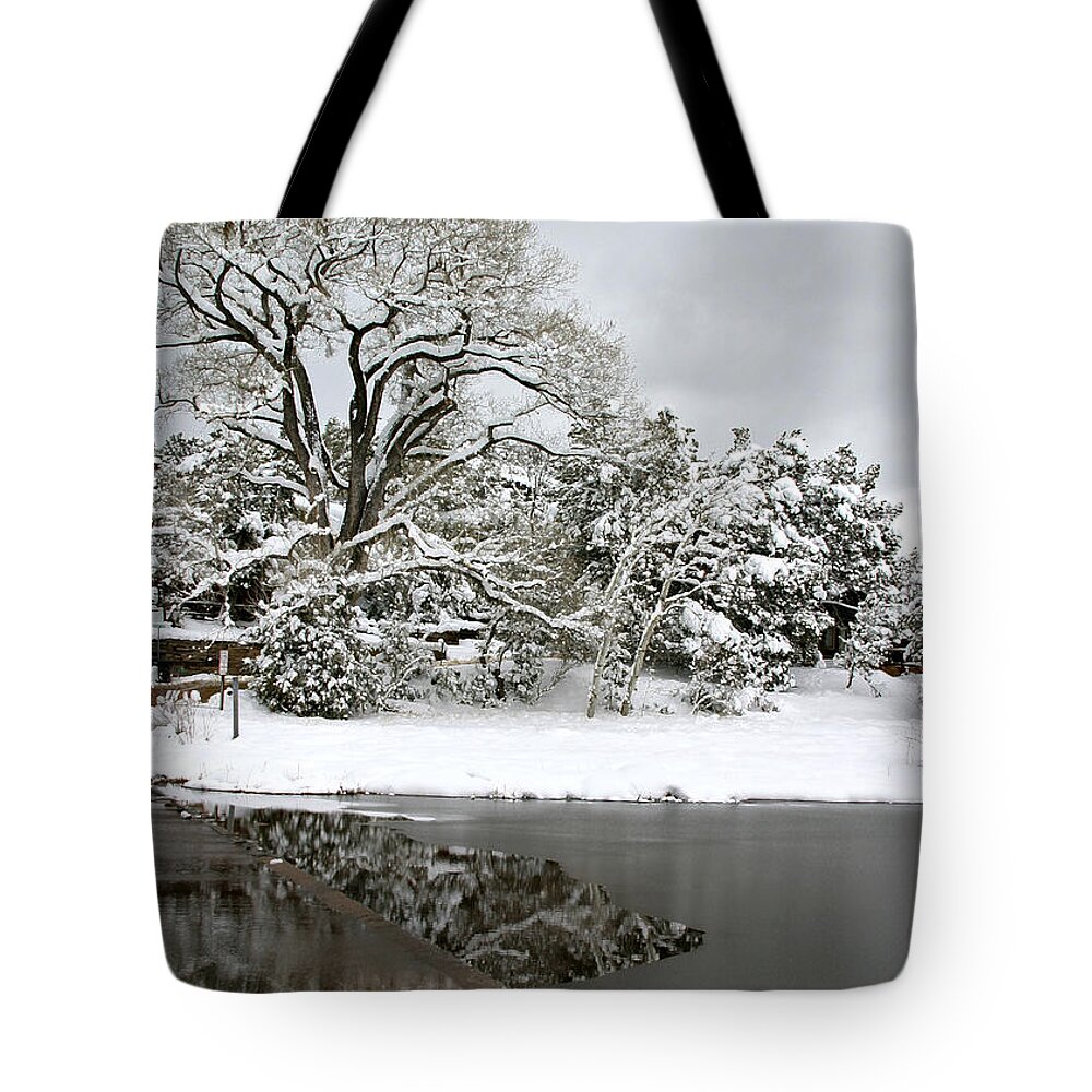  Tote Bag featuring the photograph East Verde Winter Crossing by Matalyn Gardner