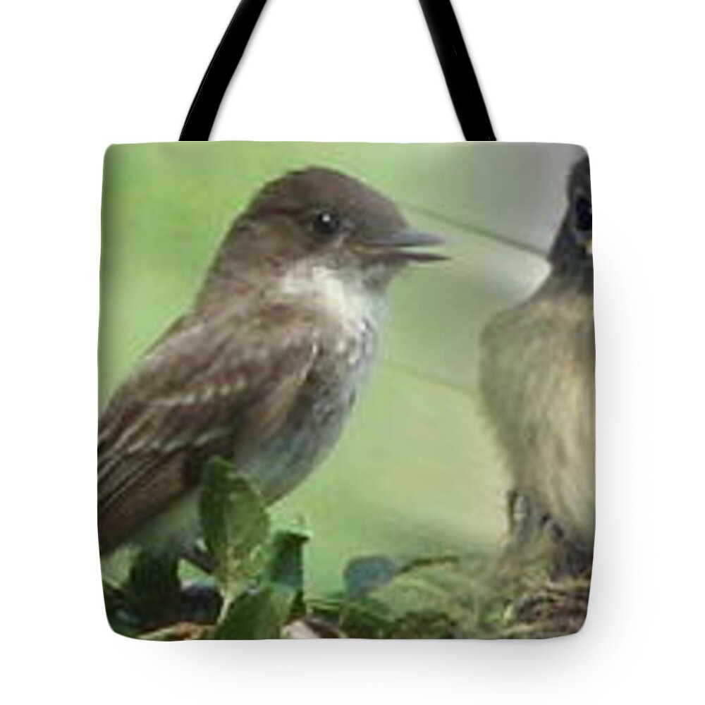 Birds Tote Bag featuring the photograph Eastern Phoebe Family by Natalie Rotman Cote