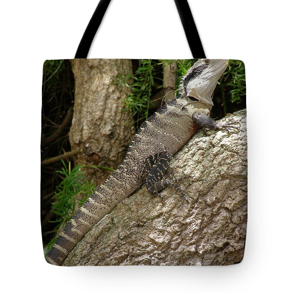 Eastern Water Dragon Tote Bag featuring the photograph Eastern Water Dragon by Bev Conover