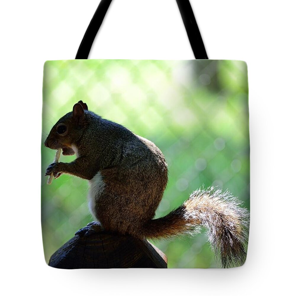 Wildlife Tote Bag featuring the photograph Eating Squirrel by Richard Zentner
