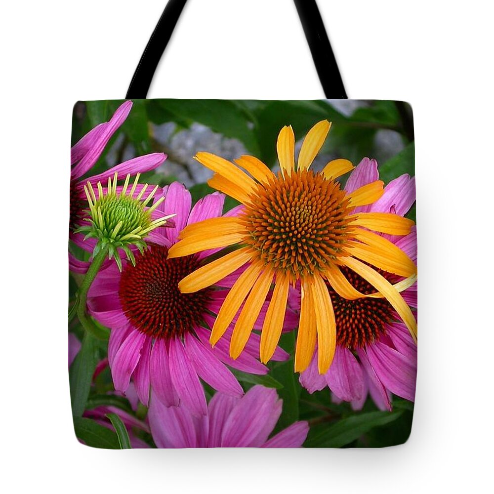  Tote Bag featuring the photograph Echinacea Mango Meadowbrite by Cynthia Wallentine