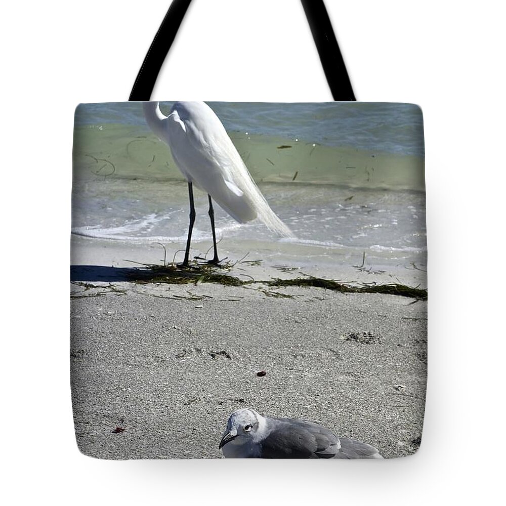 Photograph Tote Bag featuring the photograph Egret and Seagull by Joan Reese