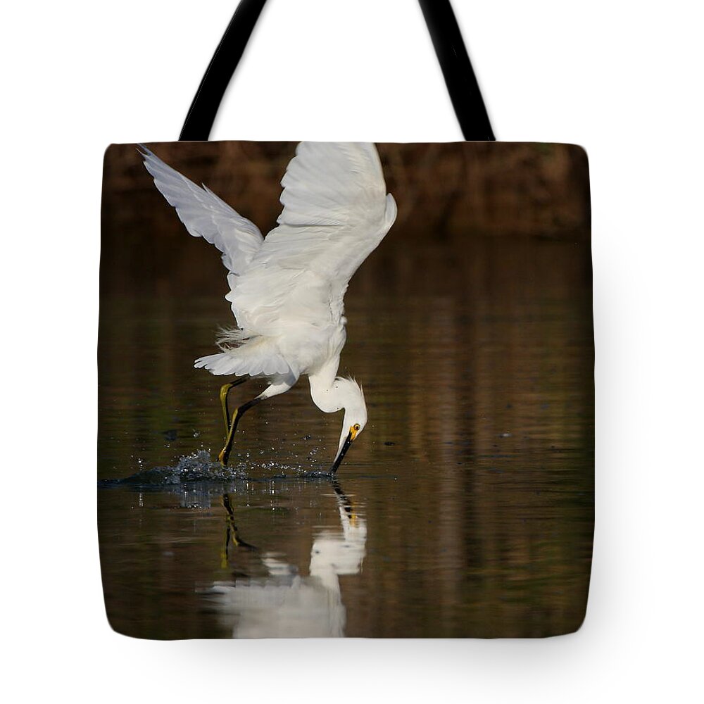 Egret Tote Bag featuring the photograph Egret diving for lunch by Ruth Jolly